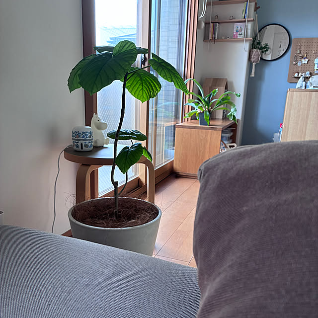 sakiさんの部屋