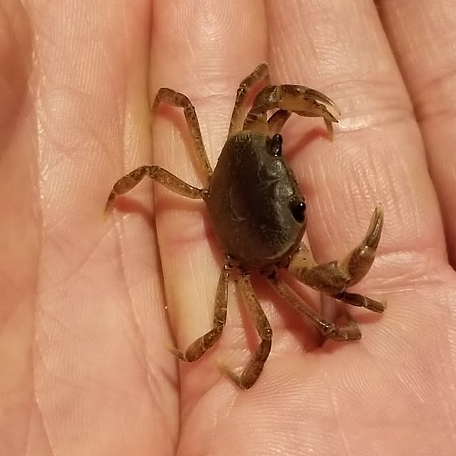 midoriさんの部屋