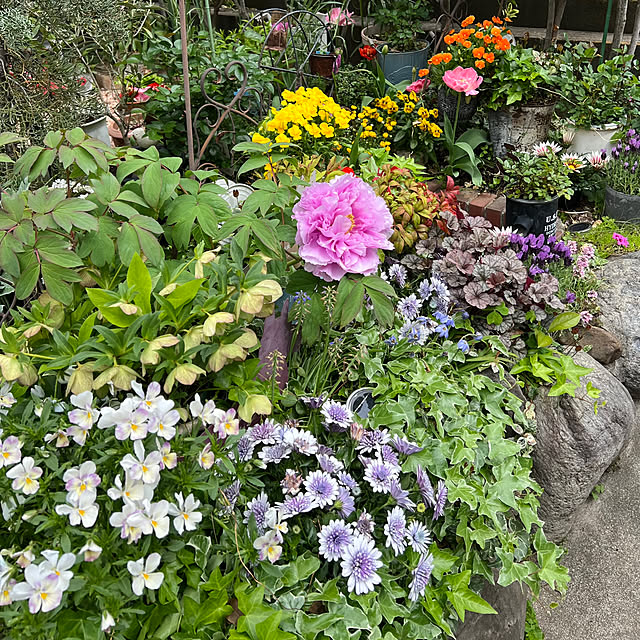 kurumeruさんの部屋