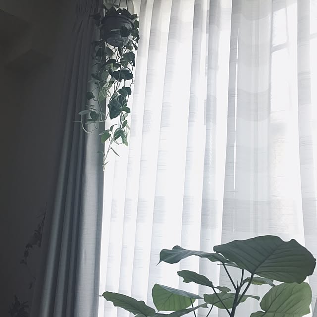 yukaさんの実例写真
