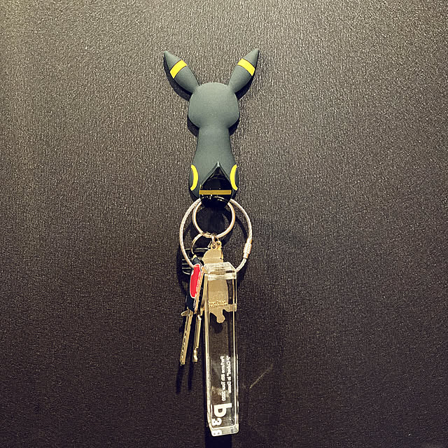 Sapicoさんの実例写真