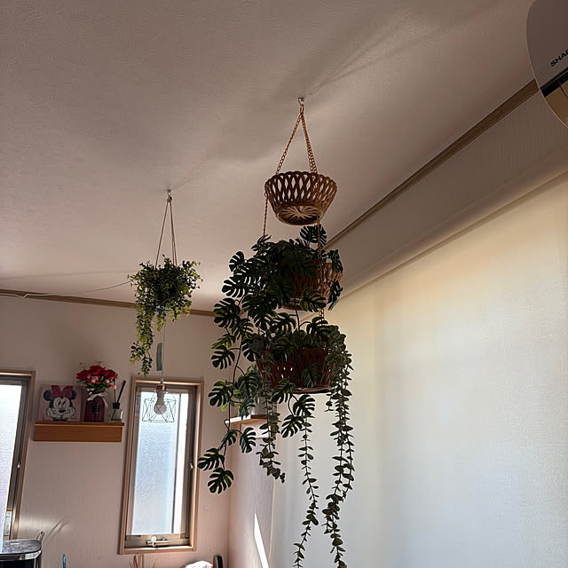 mikiさんの部屋