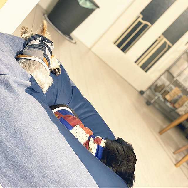 ohanaさんの実例写真