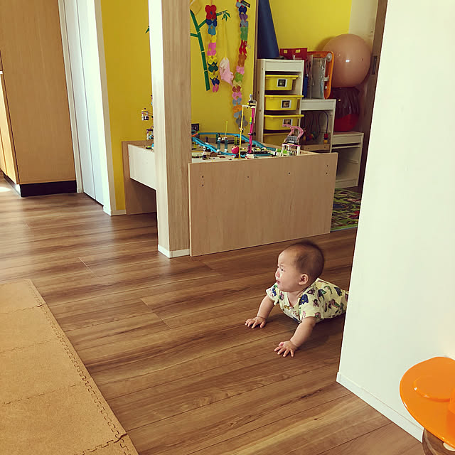 pentomo55さんの実例写真
