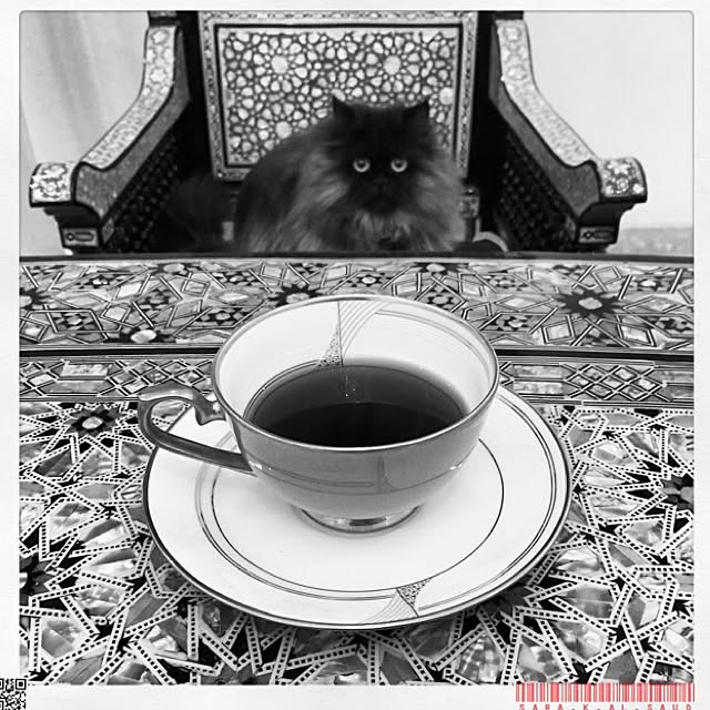 机/My Cat Mowgli/coffee/cupのインテリア実例 - 2015-02-08 12:27:35