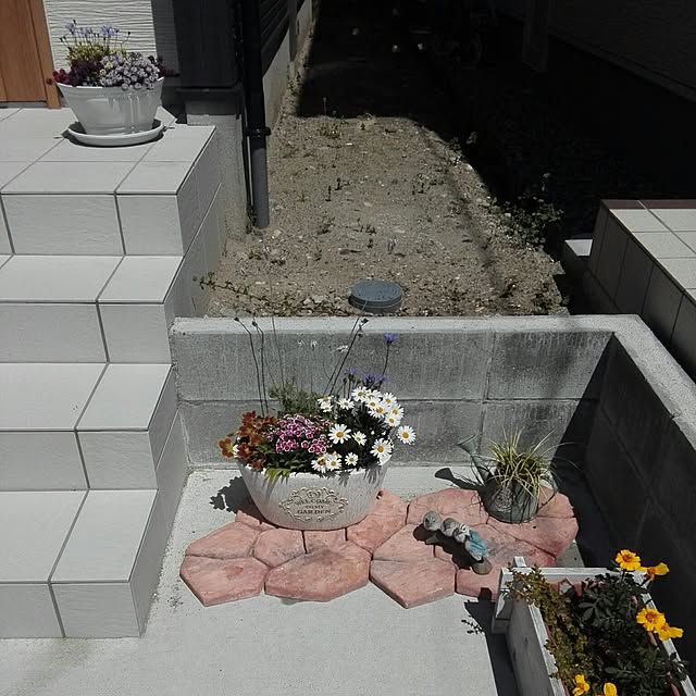 pitaさんの実例写真
