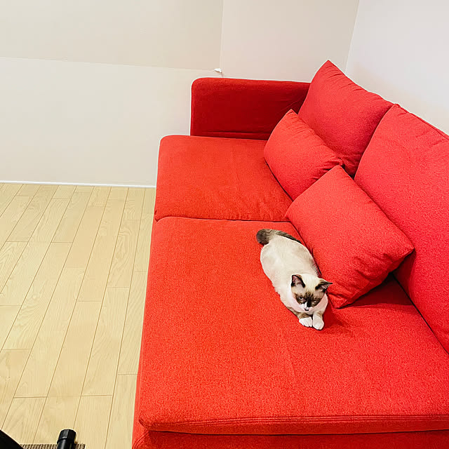 imomusiさんの部屋