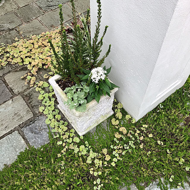 yuchiさんの実例写真