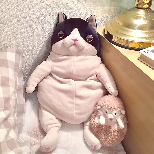 papillonさんの実例写真