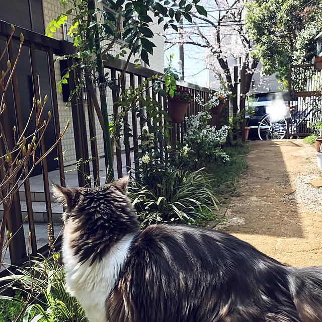 masakoさんの実例写真