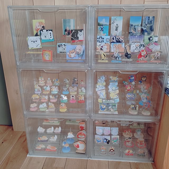 sakuraさんの部屋