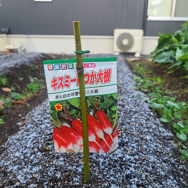 Rubiconさんの部屋