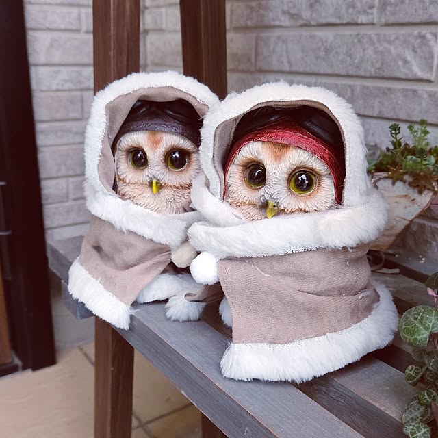 mocomocoさんの部屋