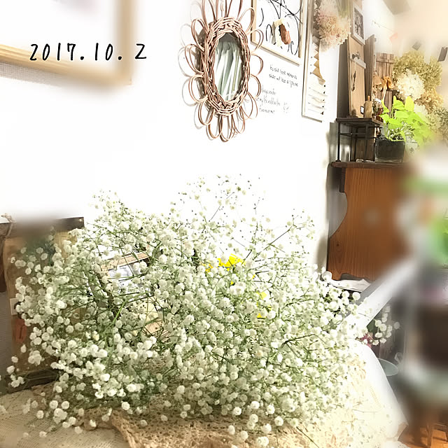 mockさんの実例写真