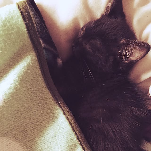 tommy_0172さんの実例写真