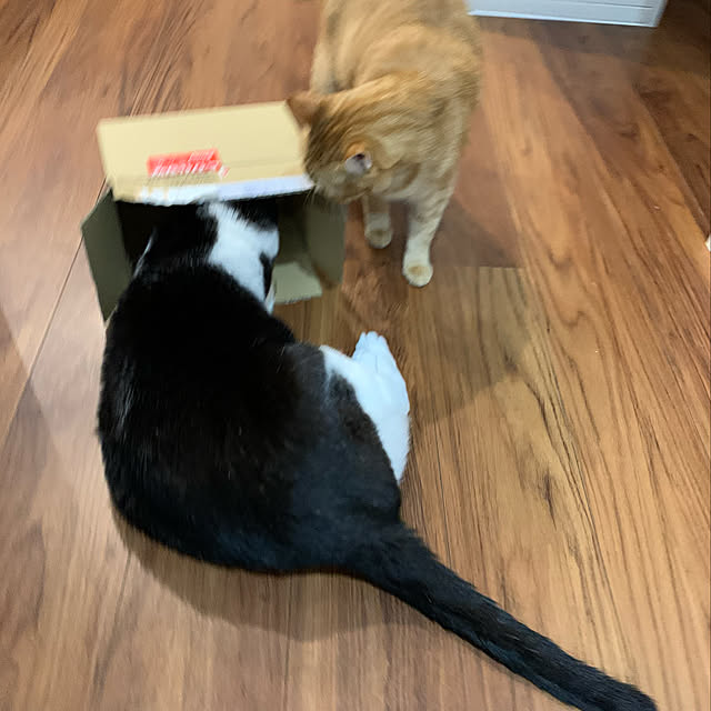mikeume7さんの実例写真