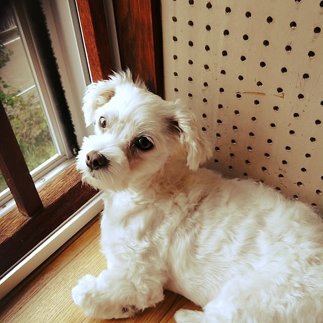 kaiさんの実例写真