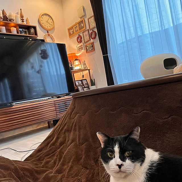 kojimasaさんの部屋