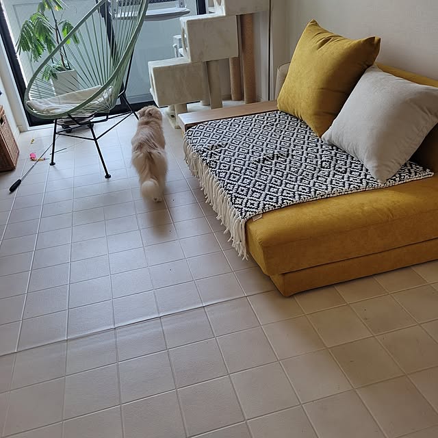 nonさんの実例写真