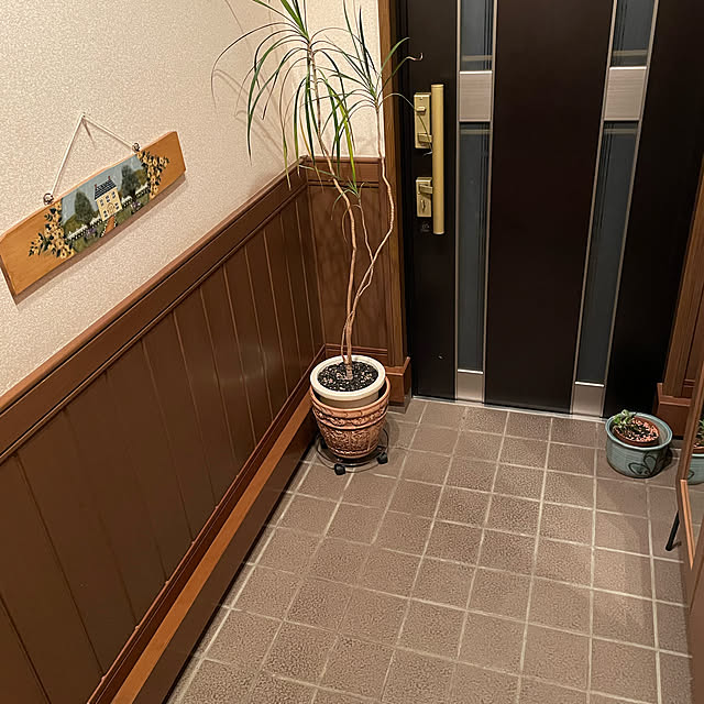 toraさんの実例写真
