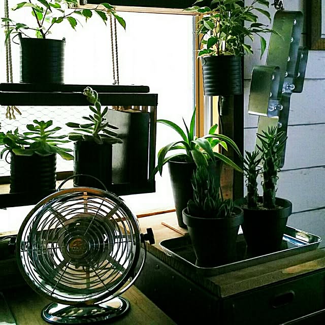 ugさんの実例写真