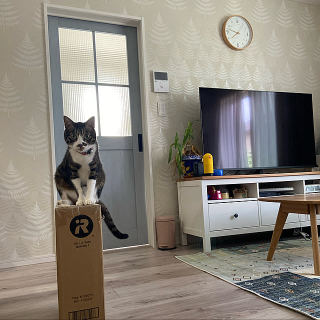 ippu0303Karinさんの実例写真