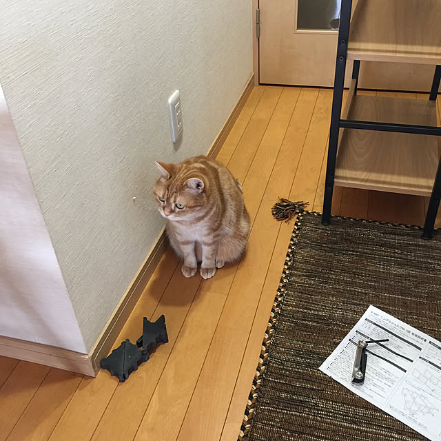 k.mさんの実例写真