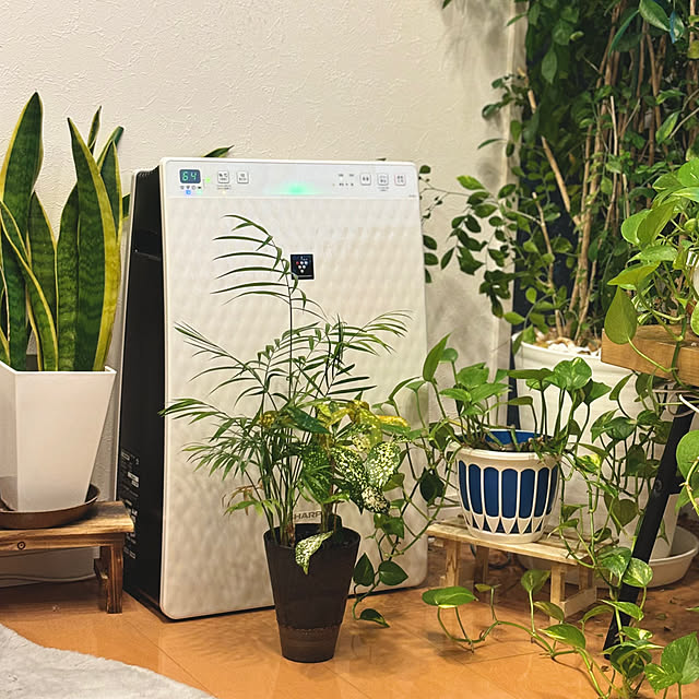 dorasanさんの部屋
