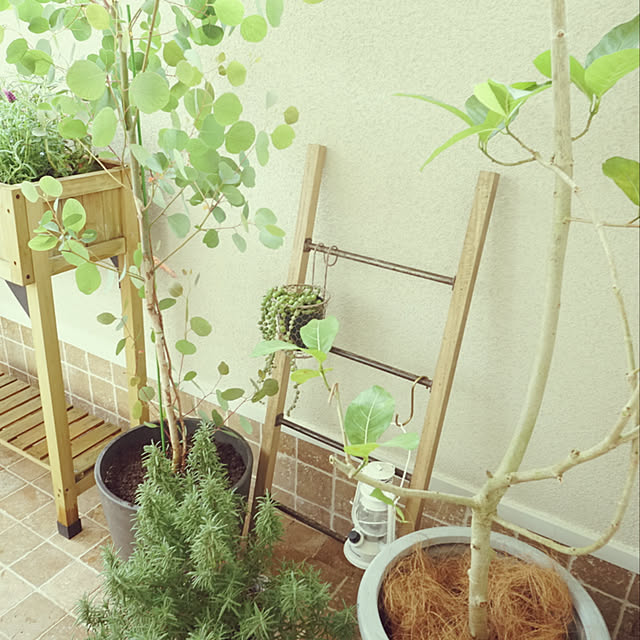 marikaさんの実例写真