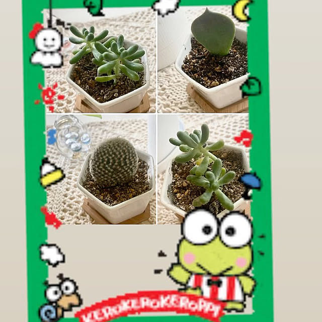 YuuKoさんの実例写真