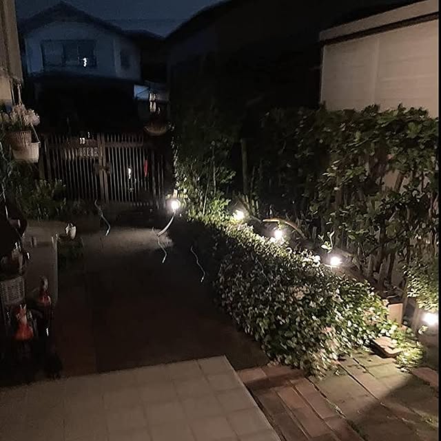 syouさんの実例写真