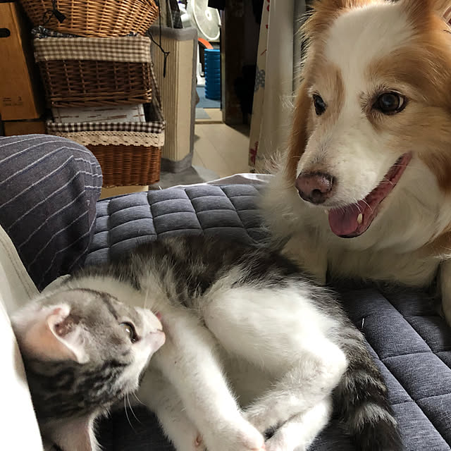 RUNRUNさんの実例写真