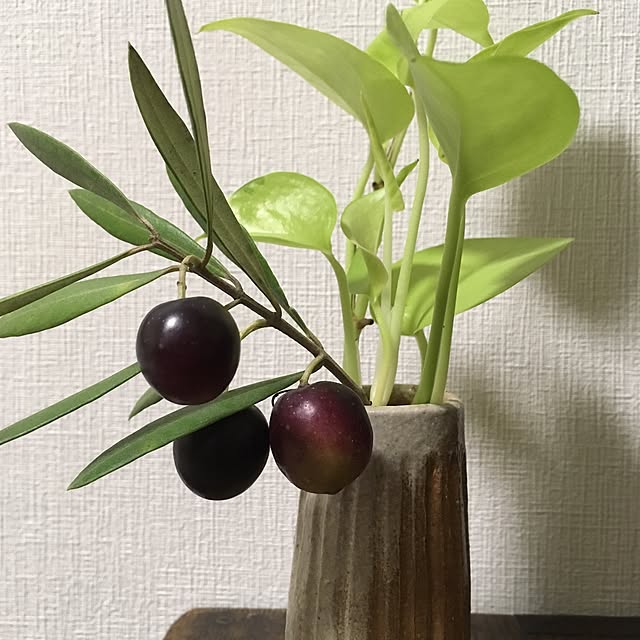Ryokoさんの実例写真