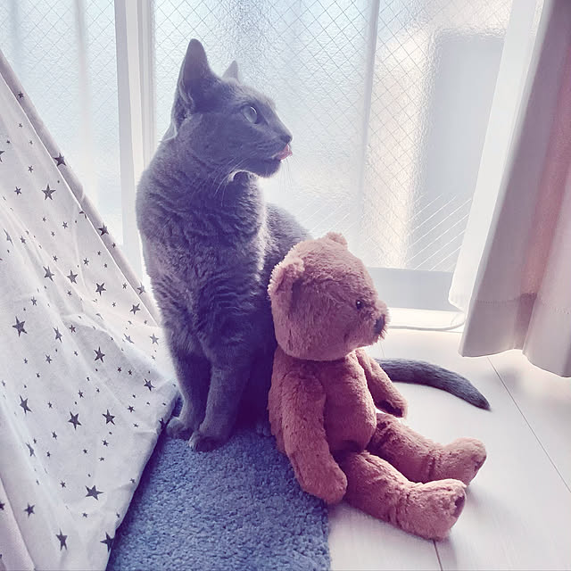 snoopyさんの実例写真