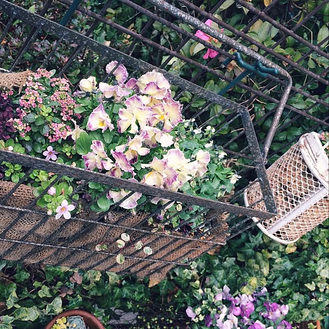 naonaoさんの実例写真