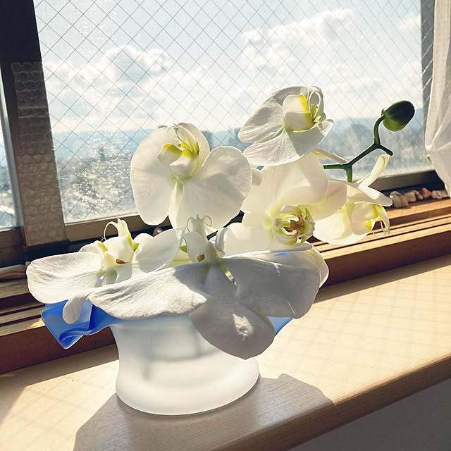 skay_ranさんの実例写真