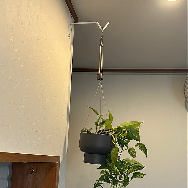 mimoryさんの部屋