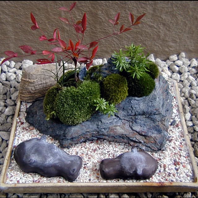 Type.Rさんの実例写真