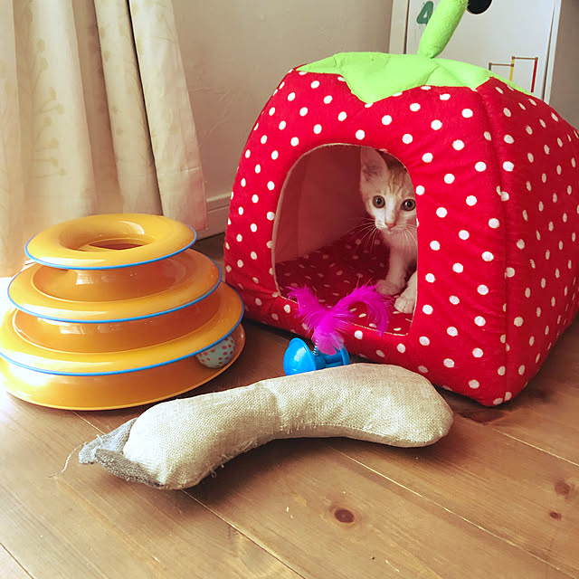 piyolandさんの実例写真