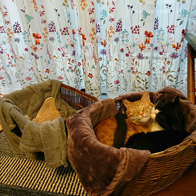 okyosan101さんの実例写真