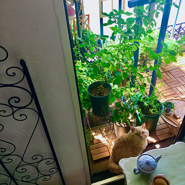 naokoさんの部屋