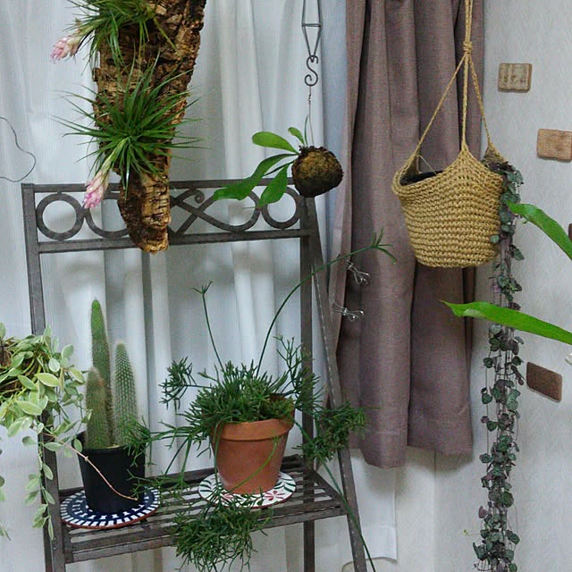 poiさんの実例写真