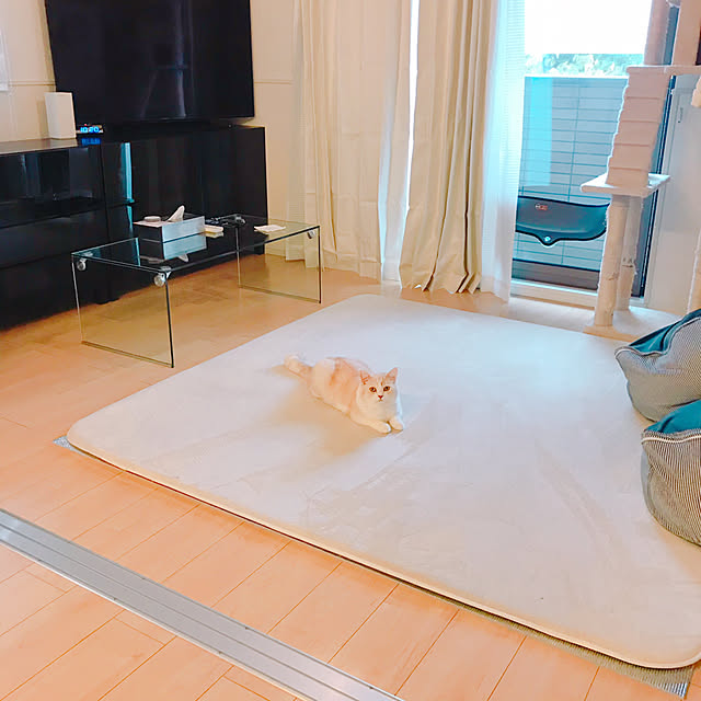 H.Tさんの実例写真