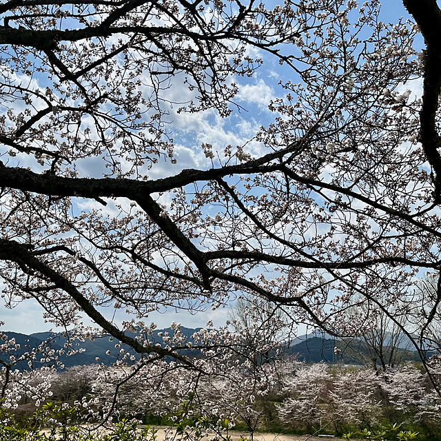 cotaさんの部屋