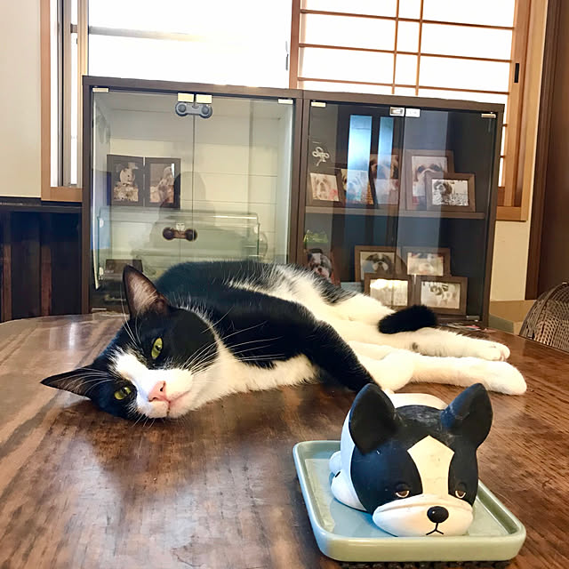 butachanさんの実例写真