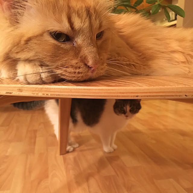 Keiさんの実例写真