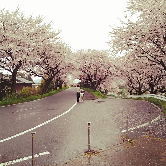 sonaさんの実例写真