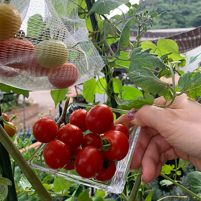 Aqettyさんの部屋