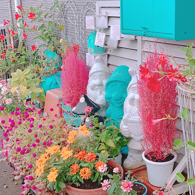 moonさんの部屋