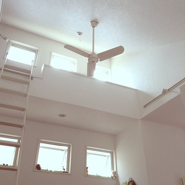 chocolateさんの実例写真